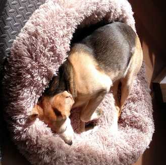 22 11 30 lilly