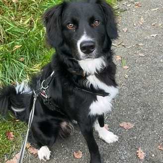 22 12 09 charlie