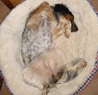 23 01 17 lexi