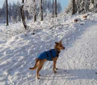 23 01 29 nemo