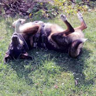 23 05 02 sophia