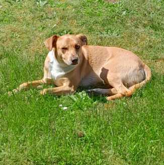 23 05 21 peanut