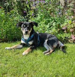 23 05 28 sally