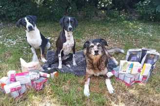 23 06 07 spenden