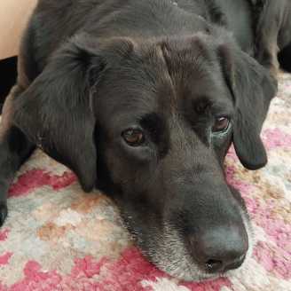 23 06 08 logan