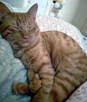 23 09 02 garfield
