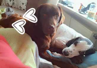 24 06 04 otis