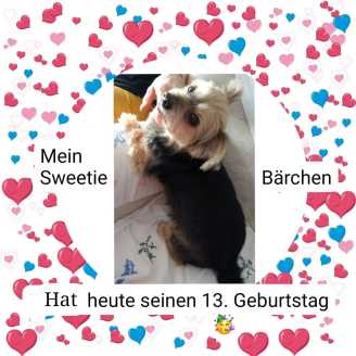 24 06 04 sweetie
