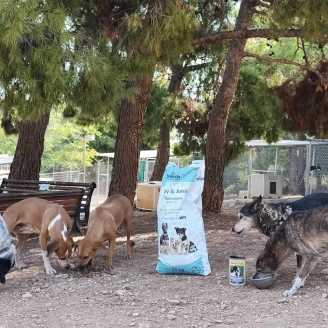 24 08 25 futterspenden