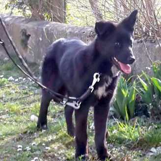 25 03 22 anouk