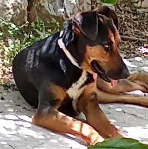 25 06 02 frieda