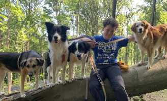 25 06 19 hunde