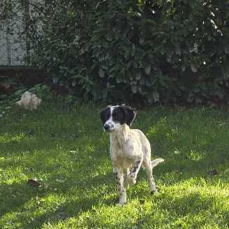 25 10 03 clyde