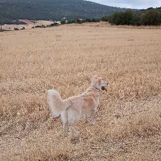 25 10 03 roxy