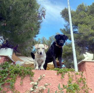 26 05 25 jorchito