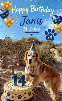 26 06 04 janis