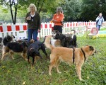 11_09_30_berliner_treffen