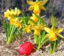 25 03 08 ostern