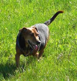 08_05_06_tika 08_05_06_tika