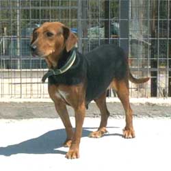 08_05_06_tika2 08_05_06_tika2